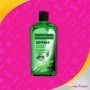 DEFENSE ANTI-BACTERIAL LUBRICANT SEA KELP & GUAVA BARK CGS-018