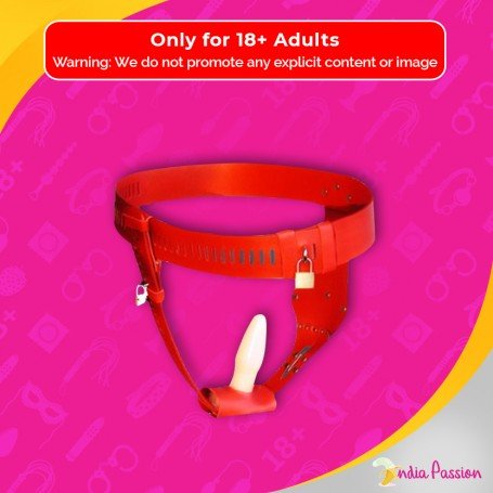 Chastity Lock Device for Women BDSM-002